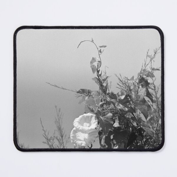 Item preview, Bindweed designed and sold by Schoenenwald — Art Japonais, Zen & Nature.