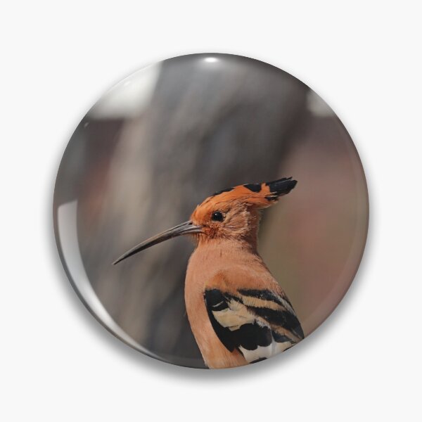 Item preview, African Hoopoe designed and sold by OdetteKPhotog.