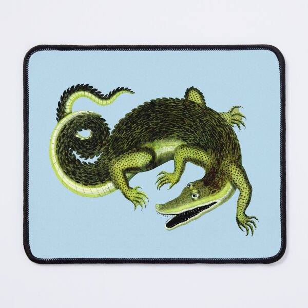 Item preview, Seventeenth Century Natural History Alligator by Peter Artedi designed and sold by Pixelchicken.
