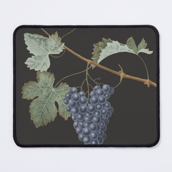 Item preview, FINE FRUIT | NATURE'S FINEST designed and sold by alkareem-ca.