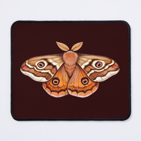 Item preview, Emperor Moth Entomology Cottagecore Dark Academia Therian Goblincore designed and sold by Veymoth.