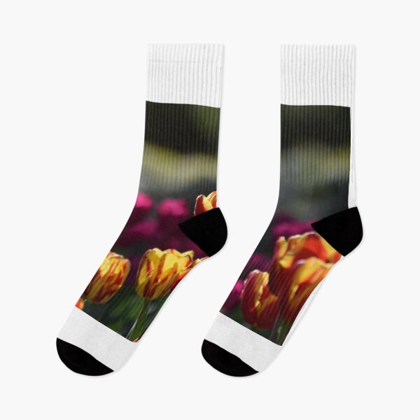 Item preview, Sunset on the tulips designed and sold by cbrpix.