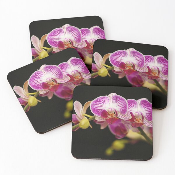 Item preview, Orchid's Embrace - A Striking Macro Photograph of a Blooming Phalaenopsis designed and sold by Luminari Creations.
