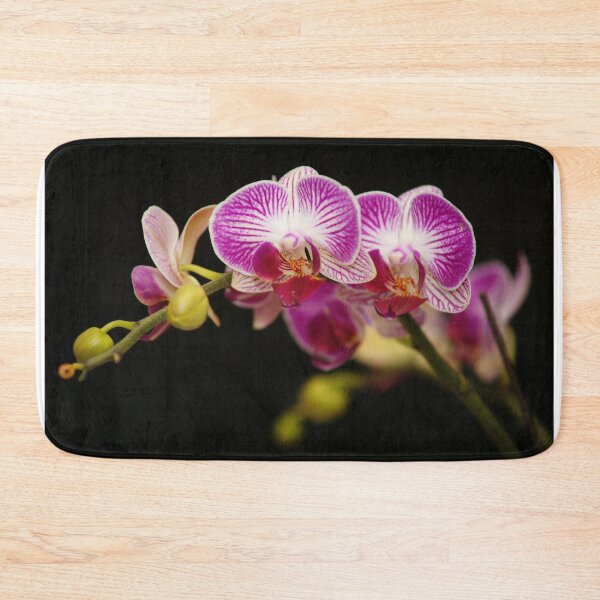 Item preview, Orchid's Embrace - A Striking Macro Photograph of a Blooming Phalaenopsis designed and sold by Luminari Creations.