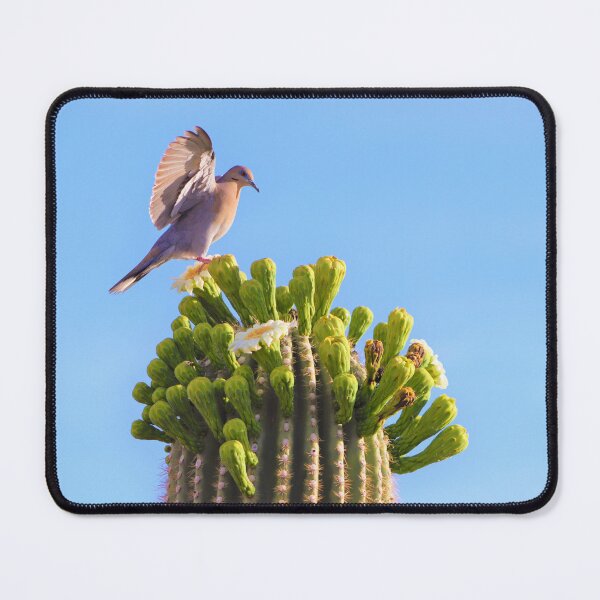 Item preview, Safe Landing designed and sold by simonjayphotos.