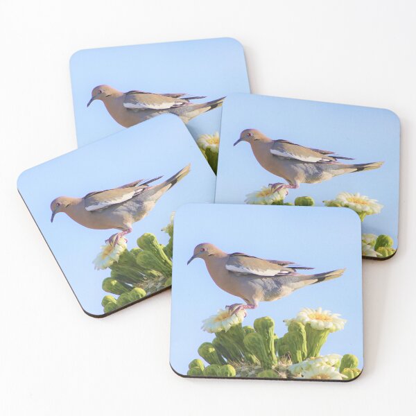 Item preview, Pretty Dove On A Saguaro Cactus Flower designed and sold by simonjayphotos.