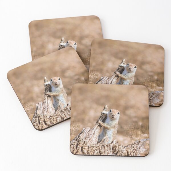 Item preview, A Curious Ground Squirrel  designed and sold by simonjayphotos.