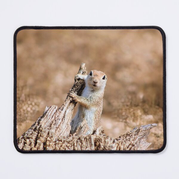 Item preview, A Curious Ground Squirrel designed and sold by simonjayphotos.