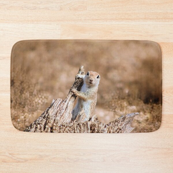 Item preview, A Curious Ground Squirrel  designed and sold by simonjayphotos.