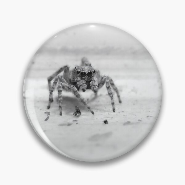 Item preview, The Curious Observer - Expressive Black and White Jumping Spider Portrait designed and sold by Luminari Creations.