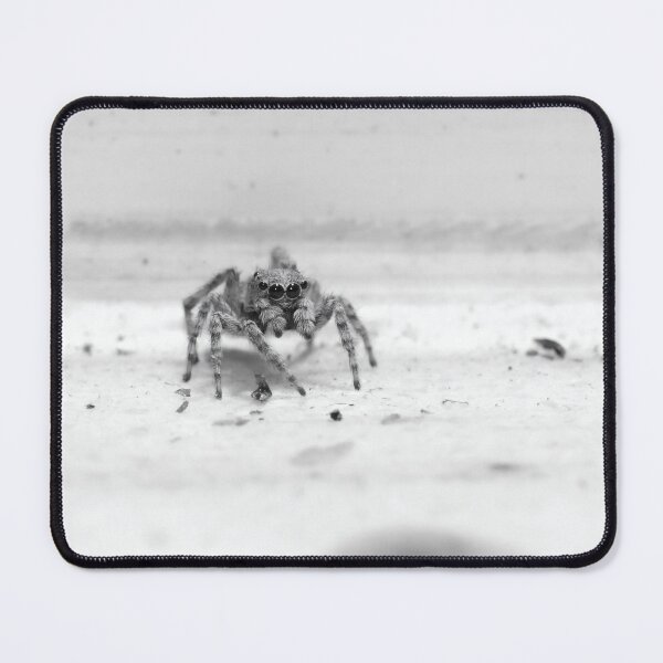 Item preview, The Curious Observer - Expressive Black and White Jumping Spider Portrait designed and sold by Luminari Creations.