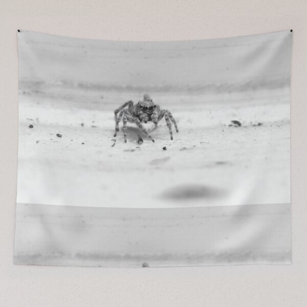 Item preview, The Curious Observer - Expressive Black and White Jumping Spider Portrait designed and sold by Luminari Creations.