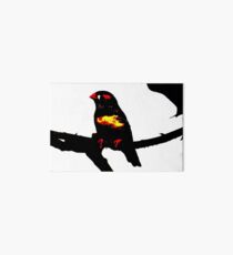 Zebra Finch on a bench Art Board