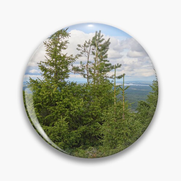 Item preview, Top spruces. Valtavaara 2025 number 20 designed and sold by Jouko Lehto Photography.