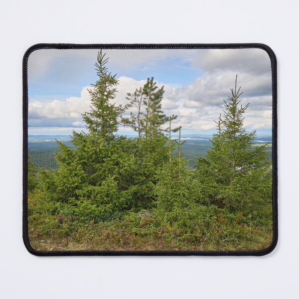 Item preview, Top spruces. Valtavaara 2025 number 20 designed and sold by Jouko Lehto Photography.