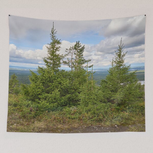 Item preview, Top spruces. Valtavaara 2025 number 20 designed and sold by Jouko Lehto Photography.