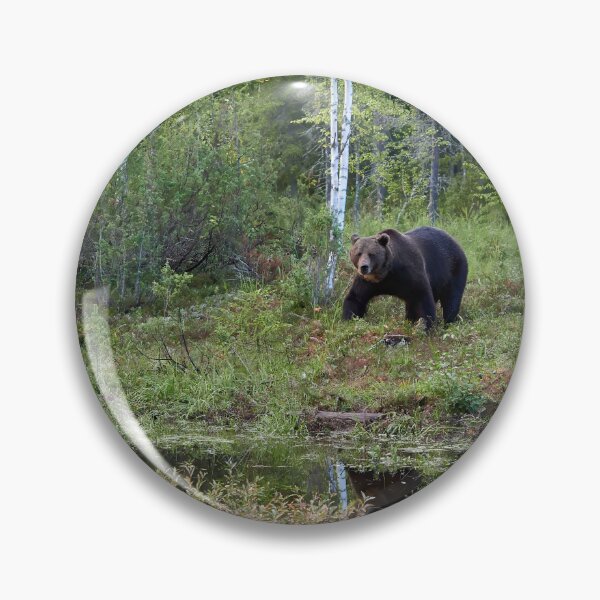 Item preview, I have seen you. Brown bear 2025 designed and sold by Jouko Lehto Photography.