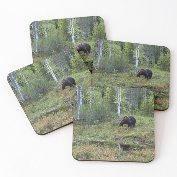 Item preview, I have seen you. Brown bear 2025 designed and sold by Jouko Lehto Photography.