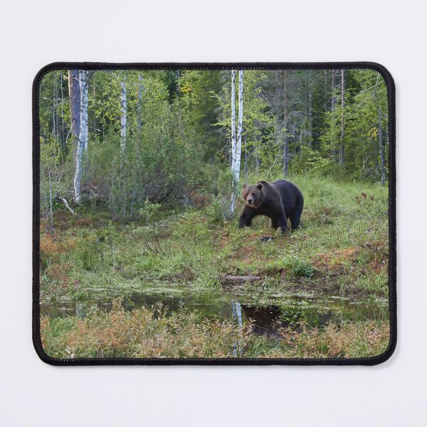 Item preview, I have seen you. Brown bear 2025 designed and sold by Jouko Lehto Photography.