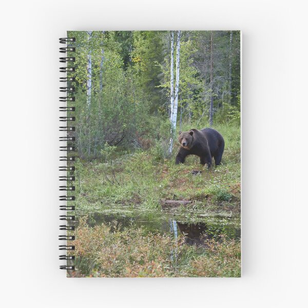 Item preview, I have seen you. Brown bear 2025 designed and sold by Jouko Lehto Photography.