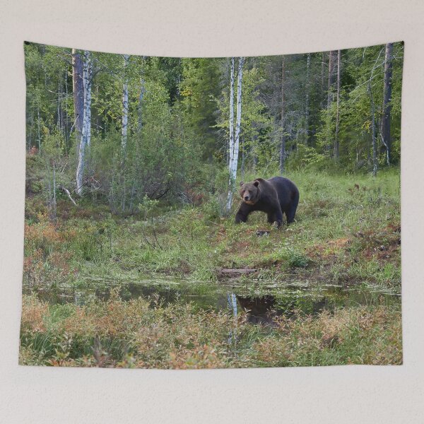 Item preview, I have seen you. Brown bear 2025 designed and sold by Jouko Lehto Photography.