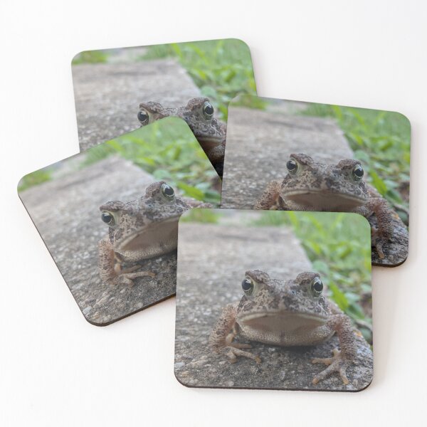 Item preview, Curious Toad on the Path designed and sold by NoRagetsArt.