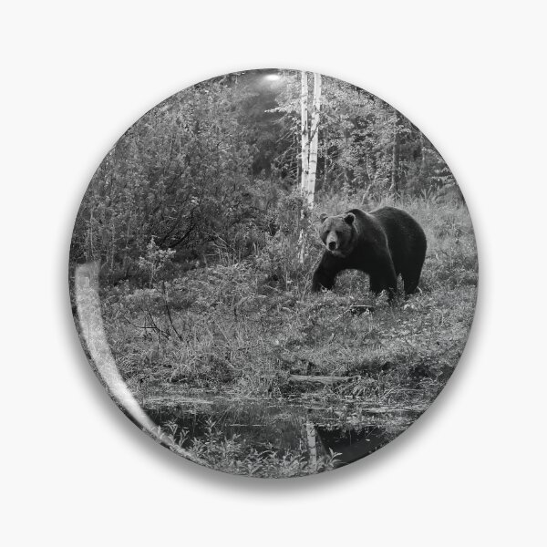 Item preview, I have seen you. Brown bear 2025 bw designed and sold by Jouko Lehto Photography.