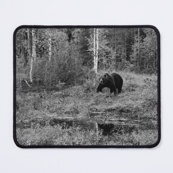 Item preview, I have seen you. Brown bear 2025 bw designed and sold by Jouko Lehto Photography.