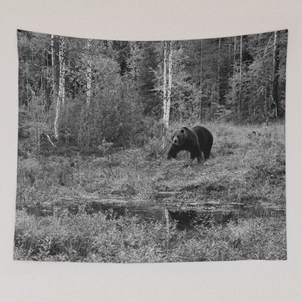 Item preview, I have seen you. Brown bear 2025 bw designed and sold by Jouko Lehto Photography.
