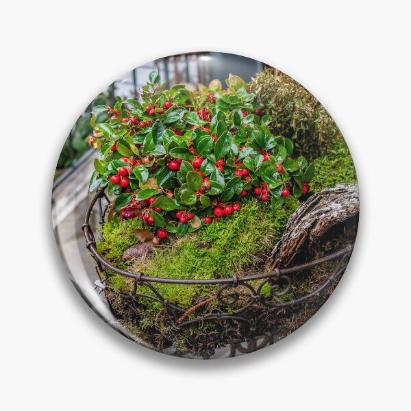 Item preview, Outdoor Christmas display designed and sold by yackers1.
