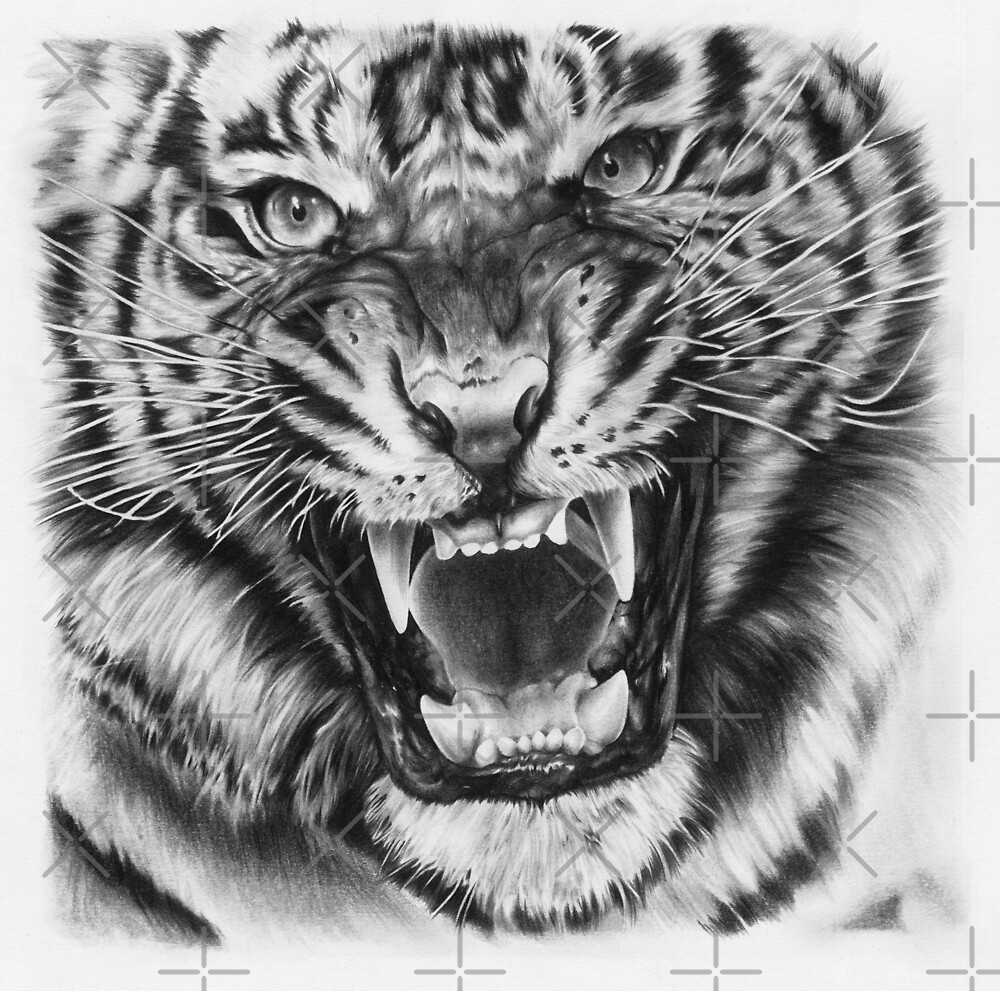 Angry Tiger By Desigma Redbubble