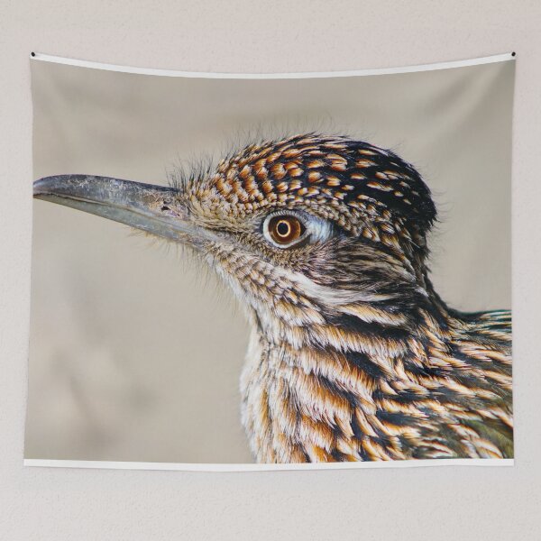 Item preview, Striking Road Runner designed and sold by simonjayphotos.