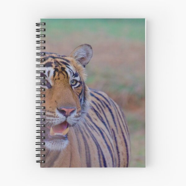 Item preview, Tiger in Ranthambore designed and sold by mortal perspective .