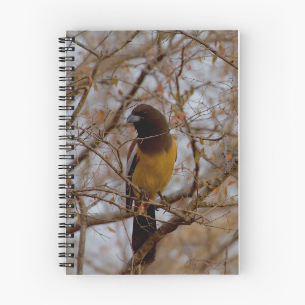 Item preview, Bird in a tree designed and sold by mortal perspective .