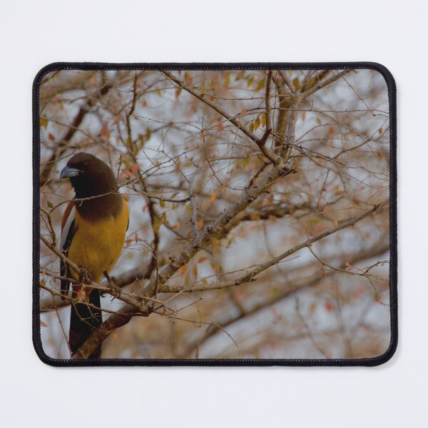 Item preview, Bird in a tree designed and sold by mortal perspective .
