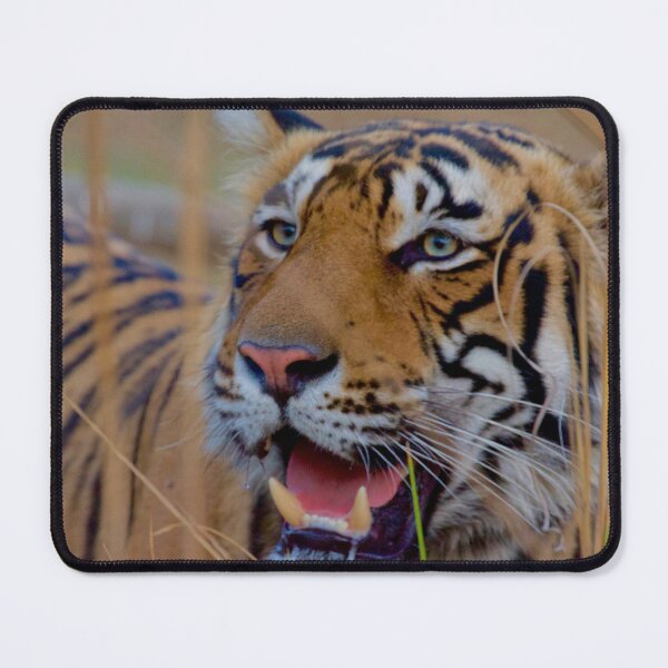 Item preview, Smiling tiger designed and sold by mortal perspective .
