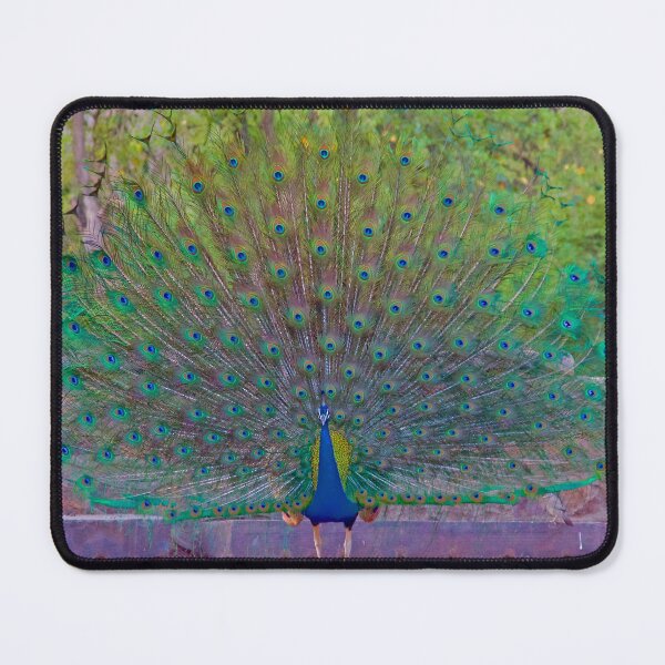 Item preview, Peacock designed and sold by mortal perspective .