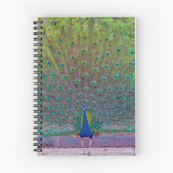Item preview, Peacock designed and sold by mortal perspective .