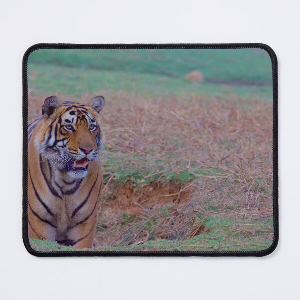 Item preview, Tiger in a pit designed and sold by mortal perspective .