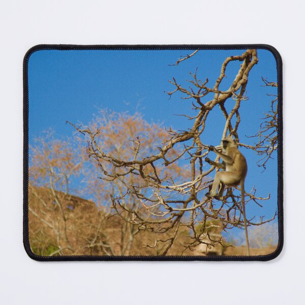 Item preview, Monkey in a tree designed and sold by mortal perspective .