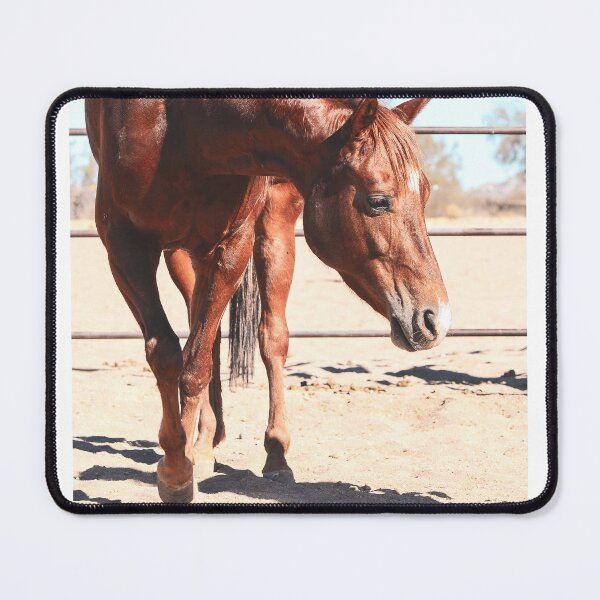 Item preview, Chili Pepper designed and sold by cavegafarm.