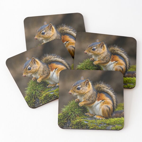Item preview, chipmunk designed and sold by sid1802.
