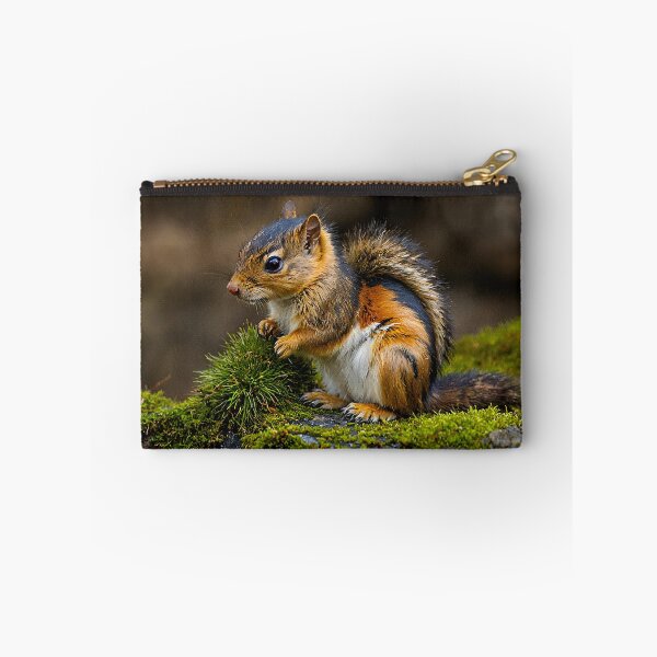 Item preview, chipmunk designed and sold by sid1802.
