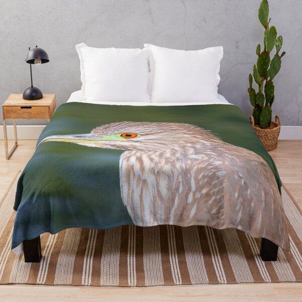 Item preview, Beautiful Juvenile Black-Crowned Night Heron  designed and sold by simonjayphotos.
