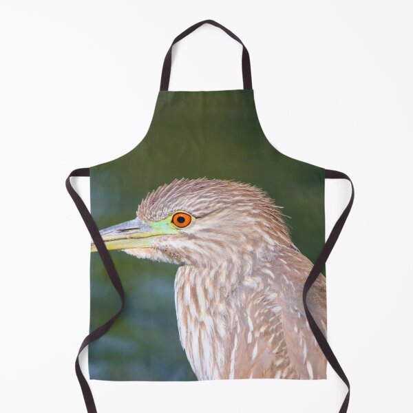 Item preview, Beautiful Juvenile Black-Crowned Night Heron designed and sold by simonjayphotos.