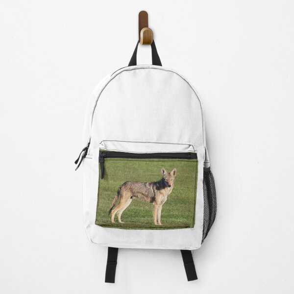 Item preview, Stunning Coyote designed and sold by simonjayphotos.