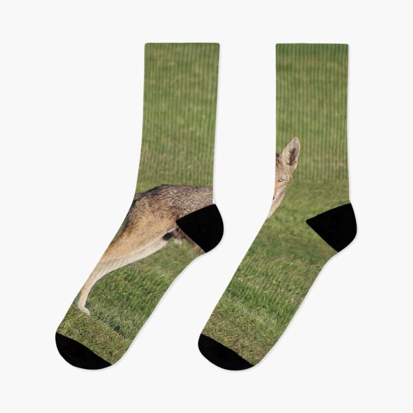 Item preview, Stunning Coyote designed and sold by simonjayphotos.