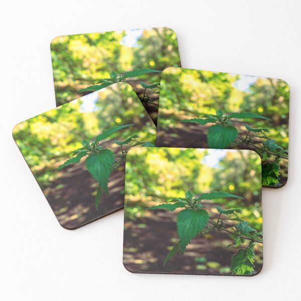 Item preview, Nettle In The Way designed and sold by IWantThatPic.