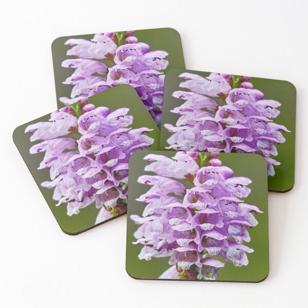Item preview, False Dragonhead designed and sold by Eidetic Photos.