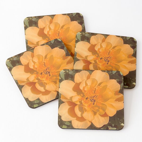 Item preview, Sherbet designed and sold by Smitty Petalz.